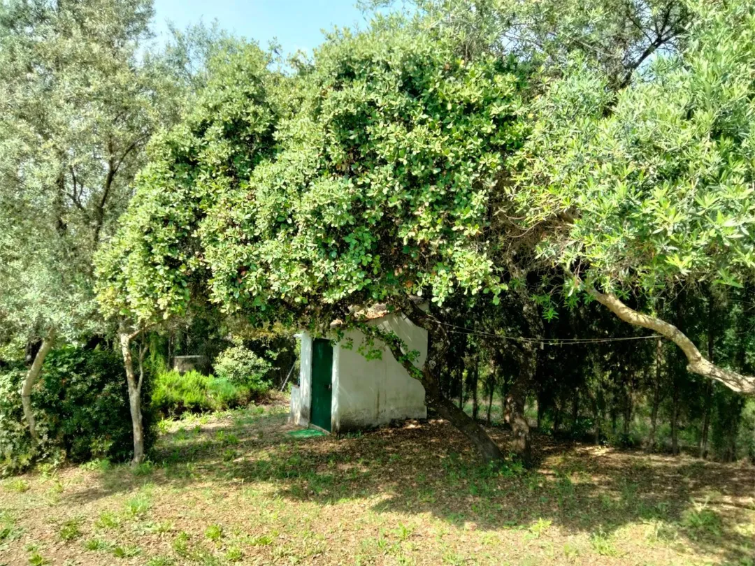 Piso en  Avenida Rosal 21 - Foto 5