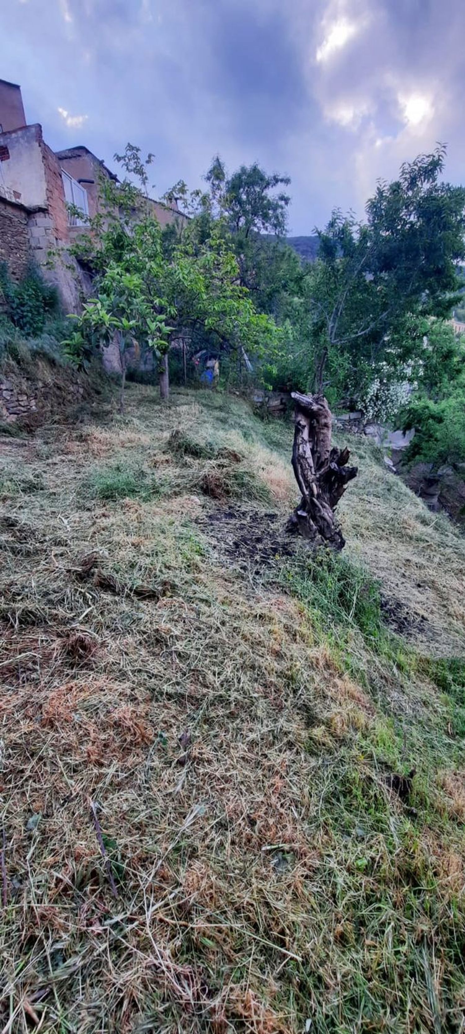 Casa o chalet independiente en Paterna del Río - Foto 17