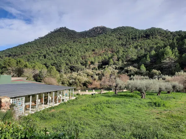 Casa rural en Camino Matilde polígono 9, 24 Parcela 24 - Foto 9