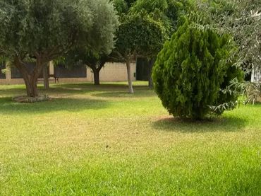 Piso en  Avenida de la Almadraba 3 - Foto 41