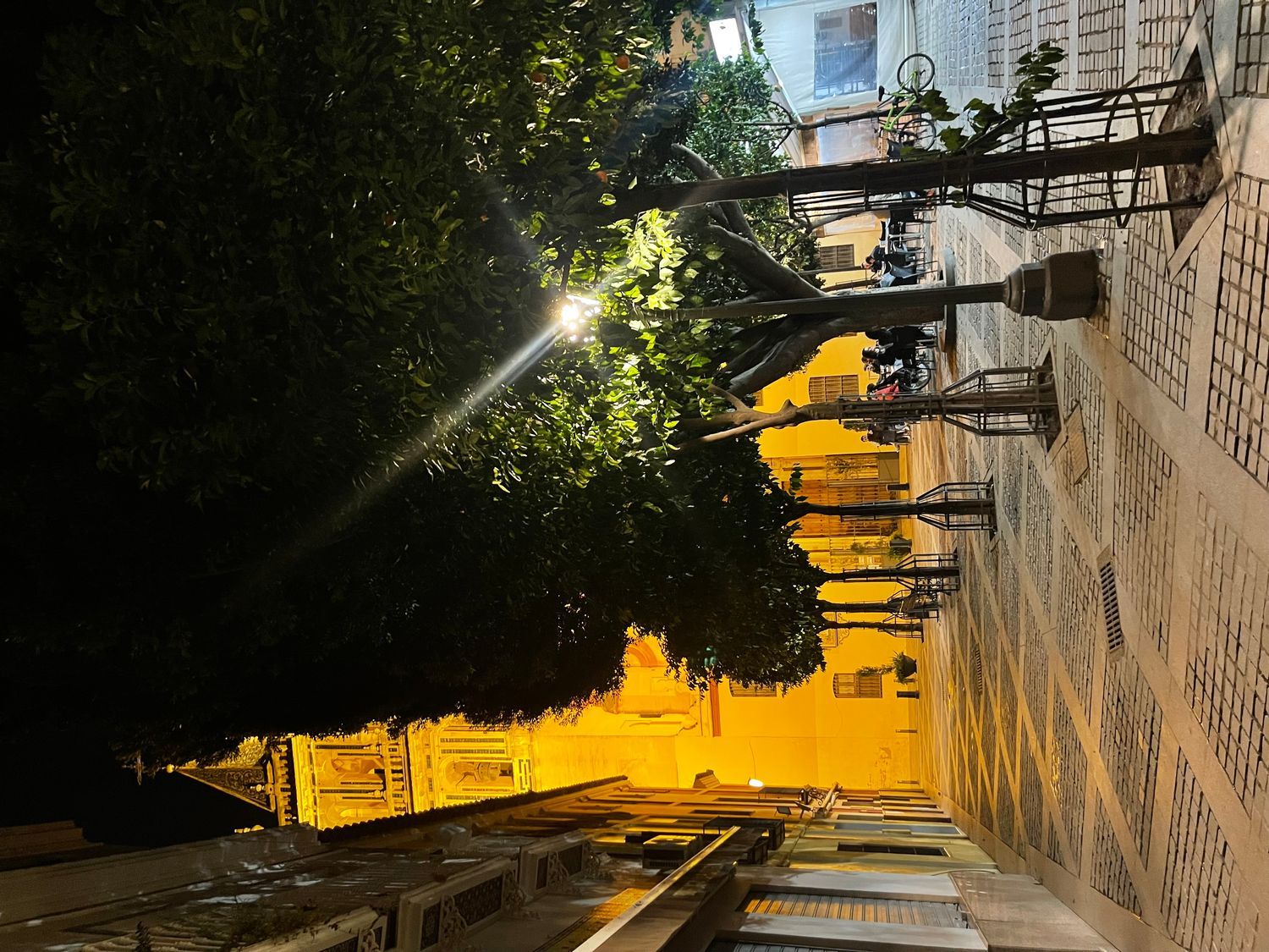 Alquiler de piso en Calle Rodrigo de Triana, 74 - Foto 19
