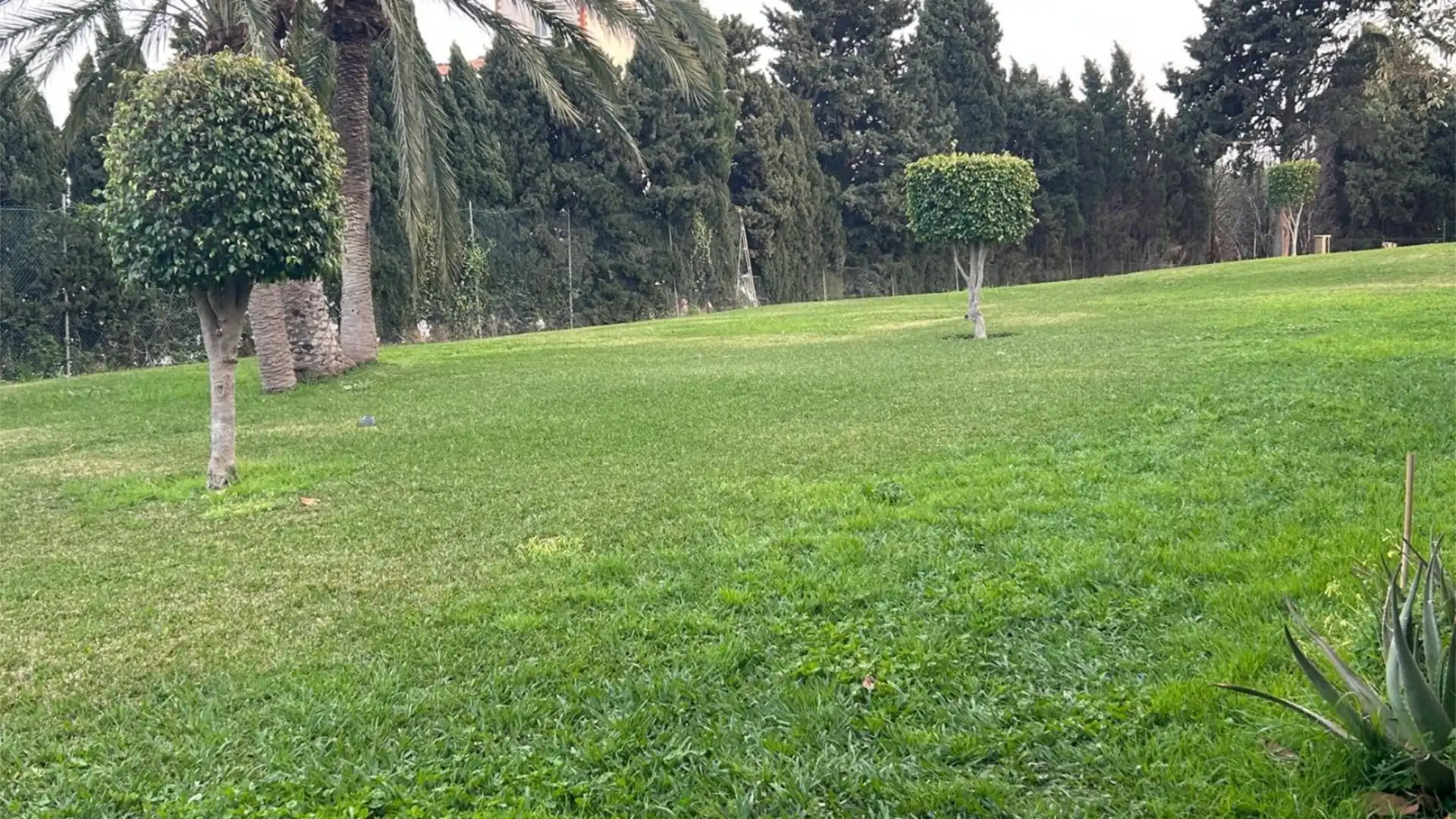 Apartamento en  Calle la Colina 1 - Foto 13