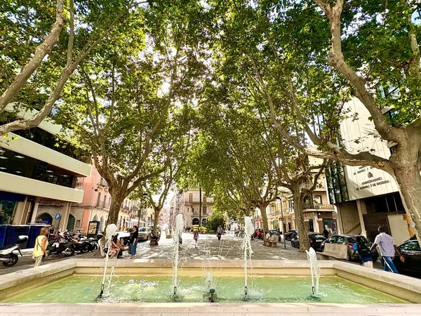 Piso en Plaza de la Palmera, 3, Centre - Foto 23