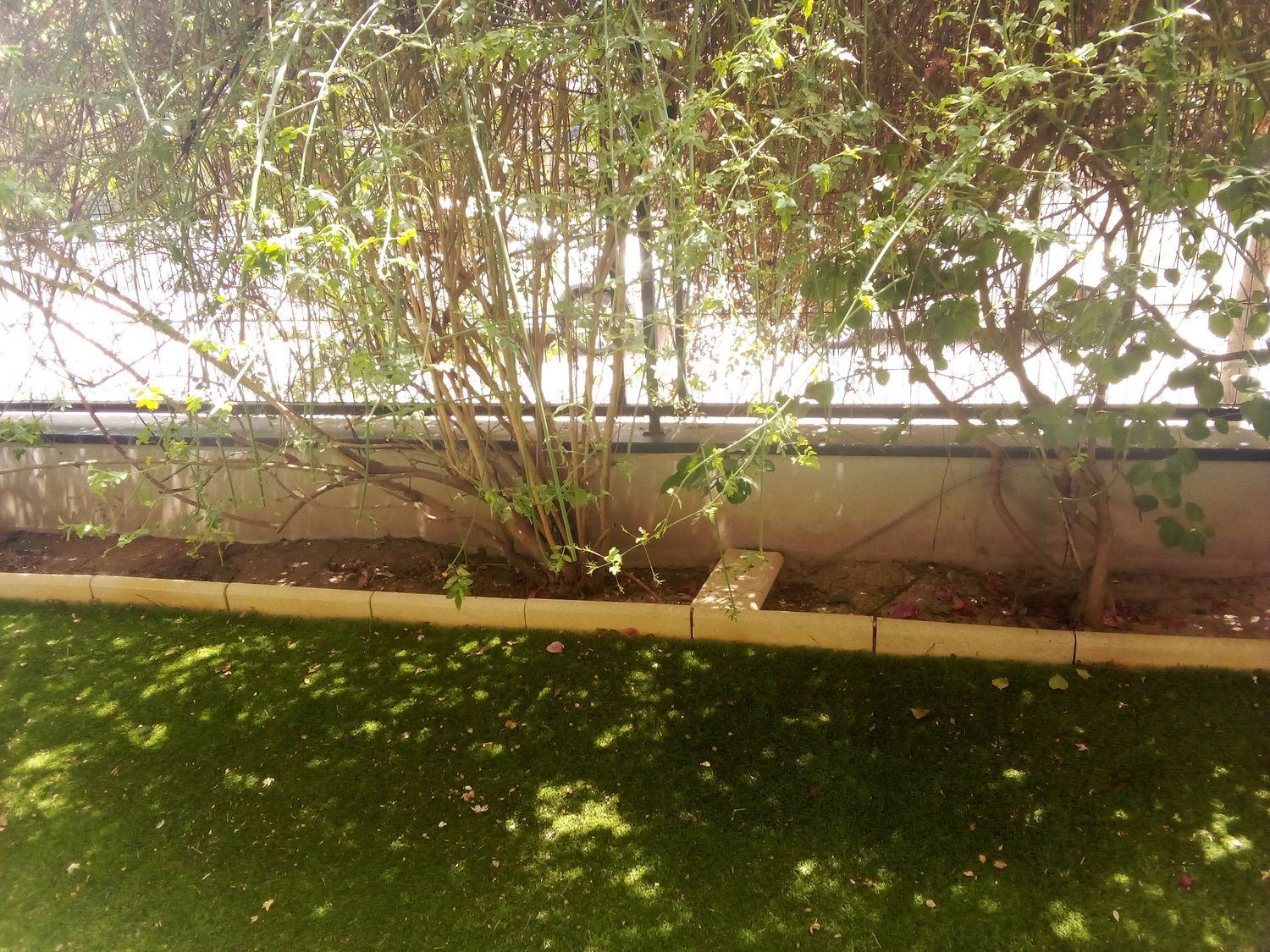 Piso en Avenida de Europa, 6, Barrio Alto, Barrio Alto - Foto 15