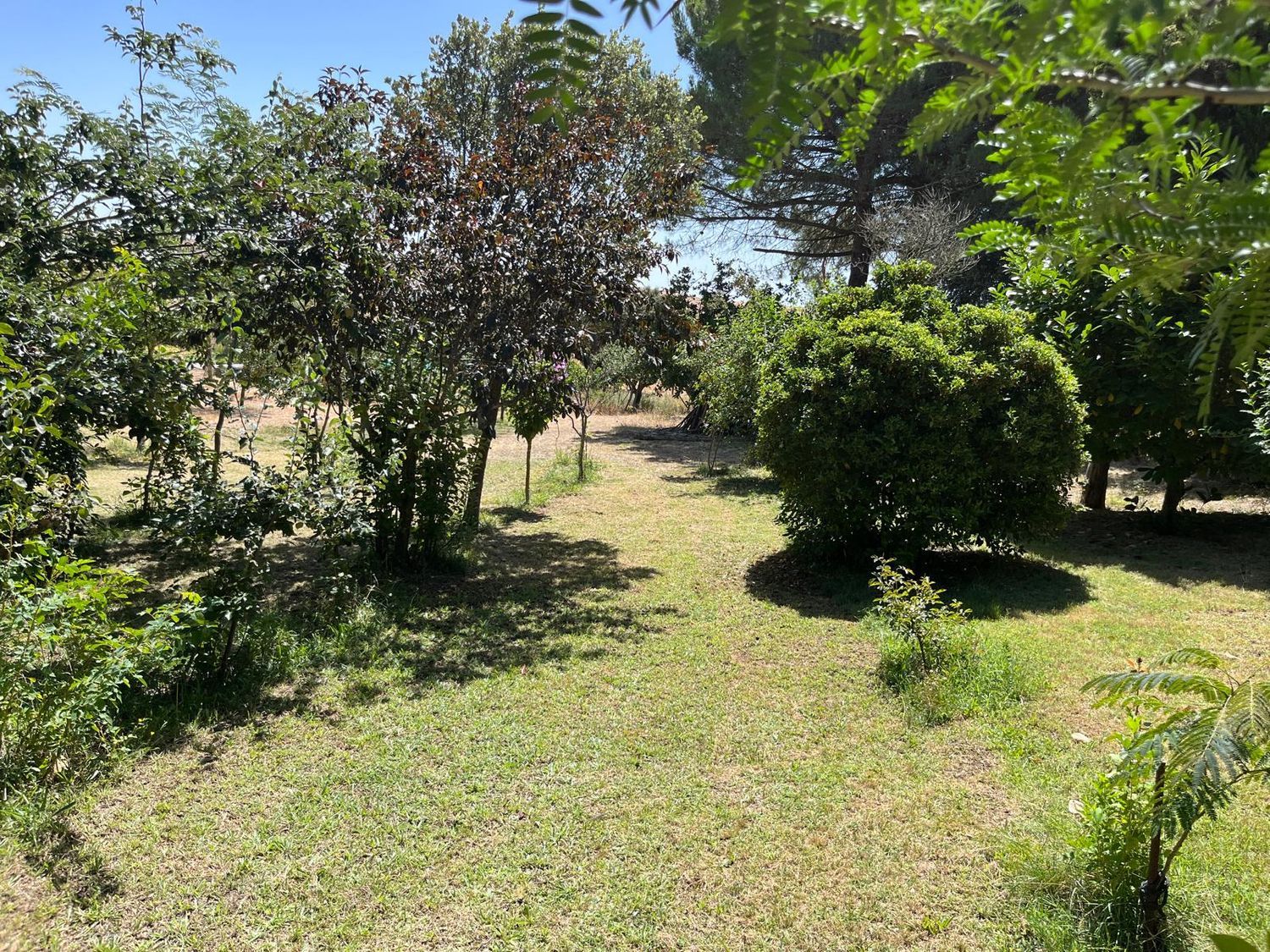 Finca rústica en Avenida de Constitución s/n - Foto 17
