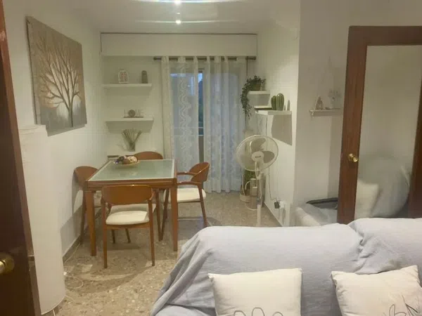 Piso en Avenida de Blasco Ibáñez, 133, Ciutat Jardí - Foto 9