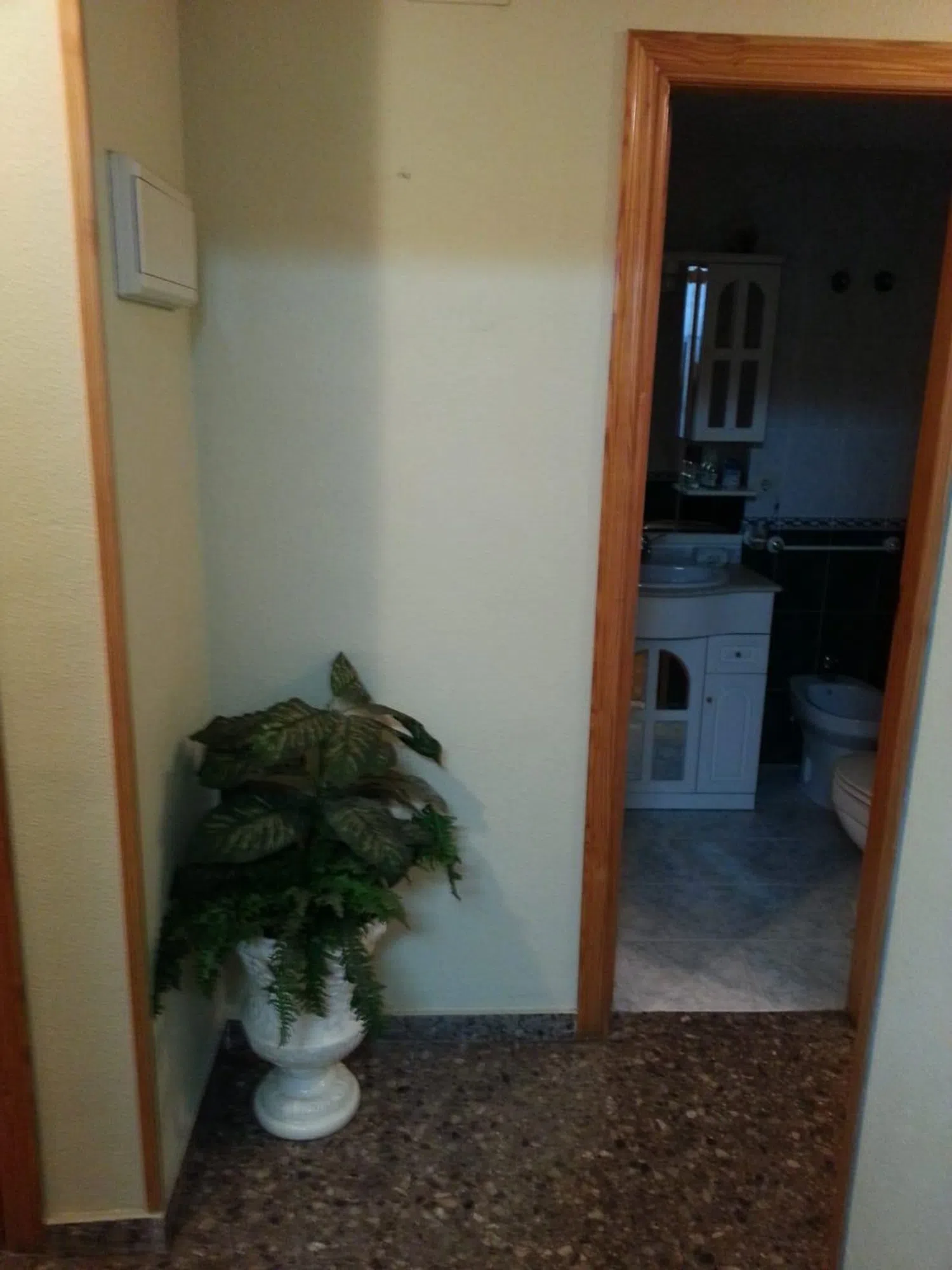 Piso en calle del Doctor Jaume Segarra, 8 - Foto 4