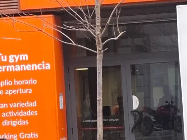Piso en Avenida del Cardenal Benlloch, Albors - Foto 48