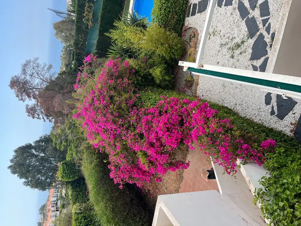 Chalet pareado en Urb. jardines del golf fase 3 Añoreta Golf - Paraíso del Sol - Foto 35