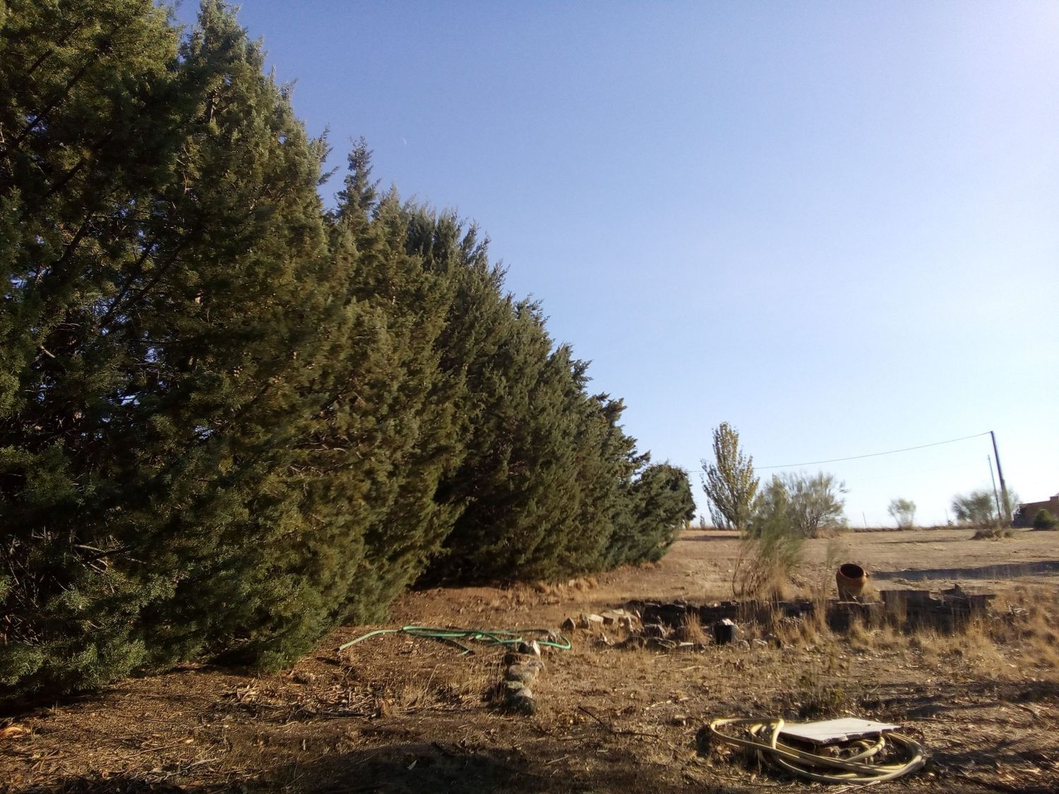 Finca rústica en camino de las laderas, 45 - Foto 4