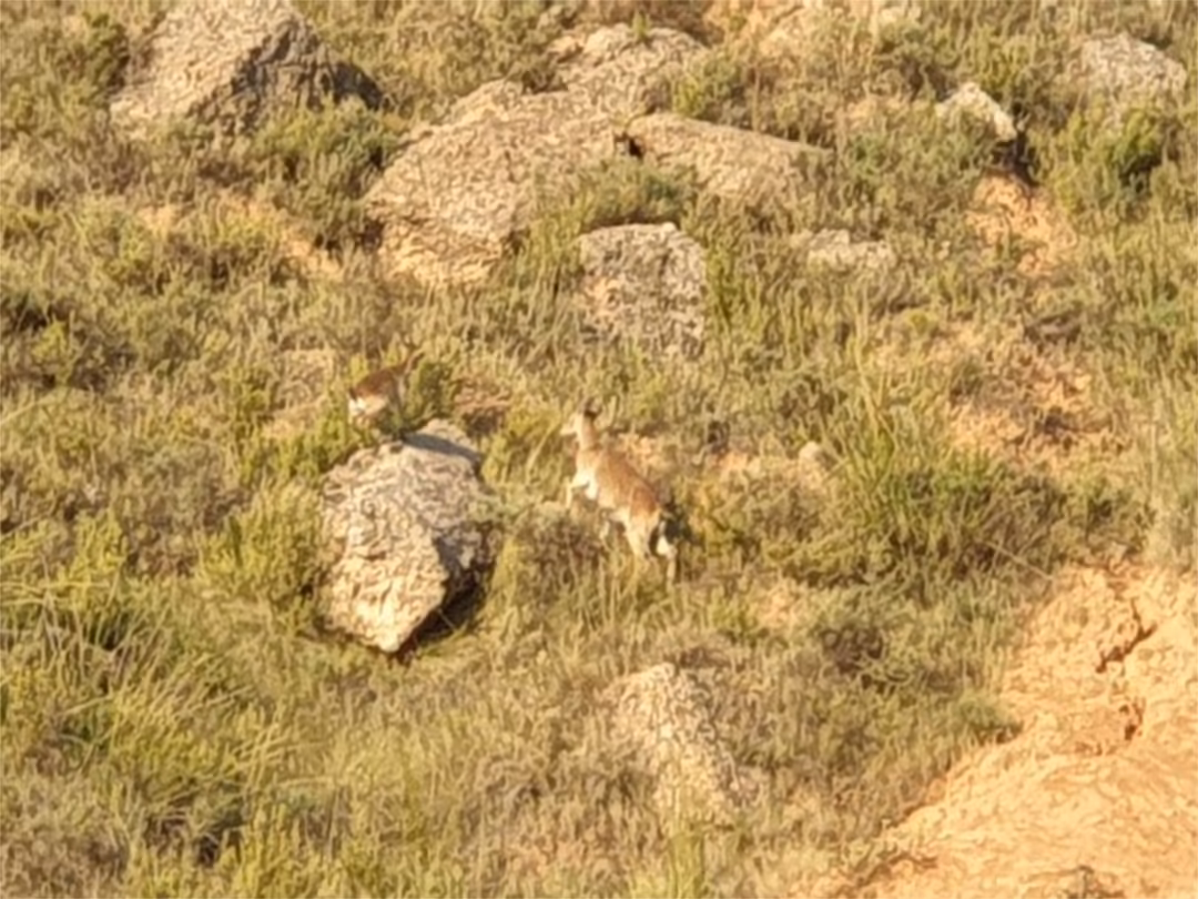 Chalet en  Calle de Serrano 200 - Foto 17