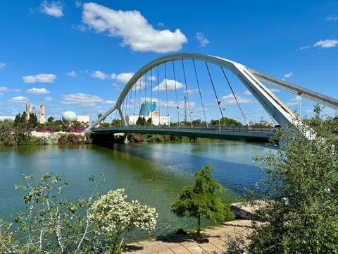 Estudio en calle Torneo, 23 - Foto 19