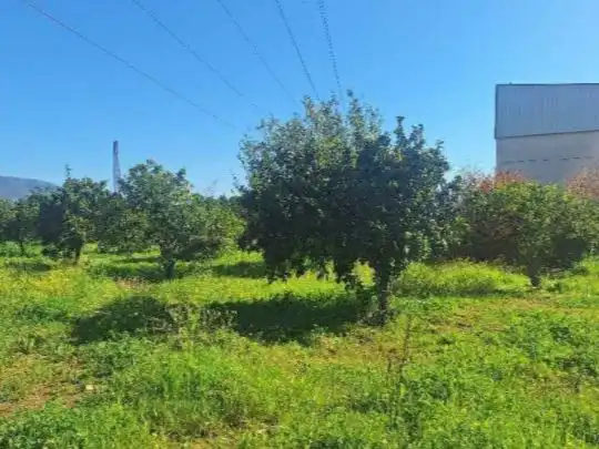 Finca rústica en  Carretera Palma del Río km 10 - Foto 8