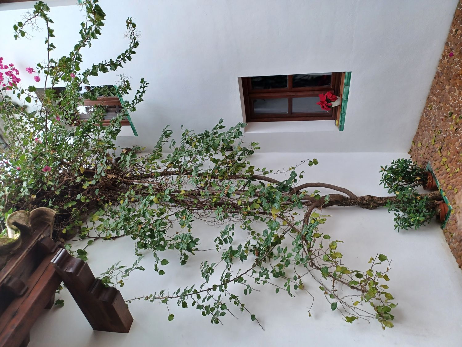 Dúplex en calle Valderrama, 6 - Foto 5