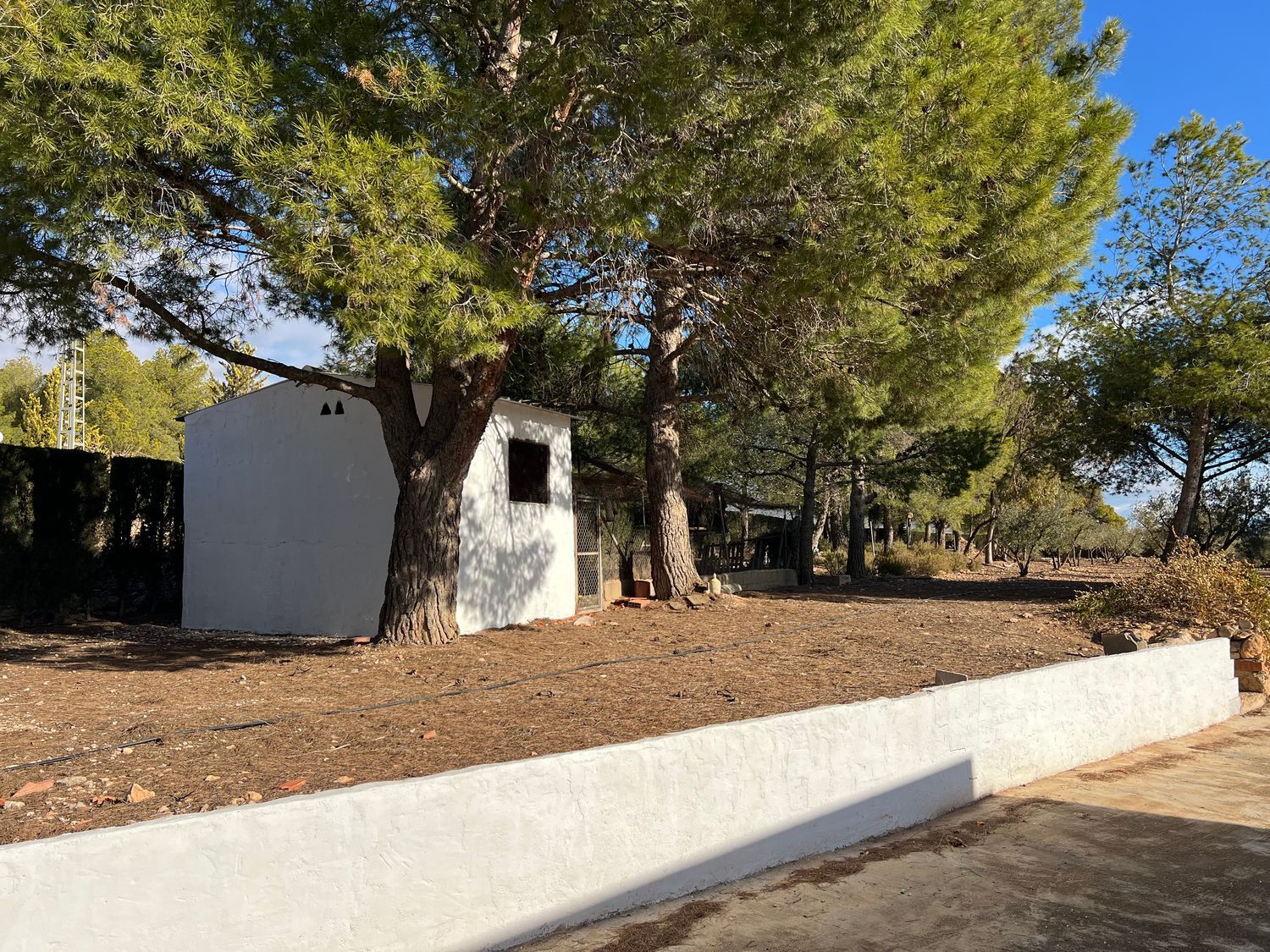 Casa de pueblo en Calle Paredón, 36 - Foto 11