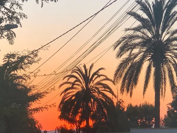 Piso en calle Olivos, 17 - Foto 21