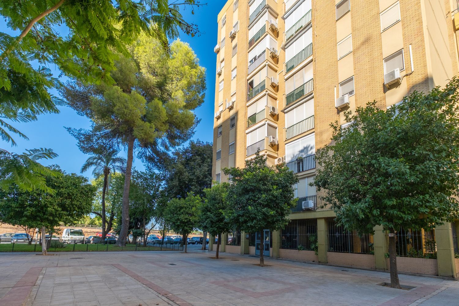 Piso en Calle Carroceros, 8, Pino Montano - Foto 20