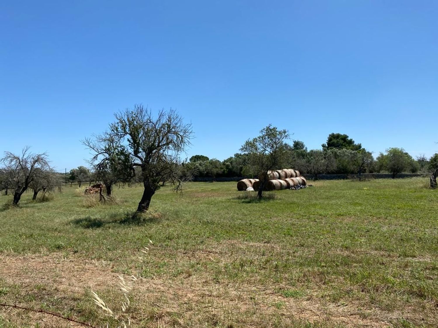 Finca rústica en Lugar Poligono 18, 9 - Foto 7