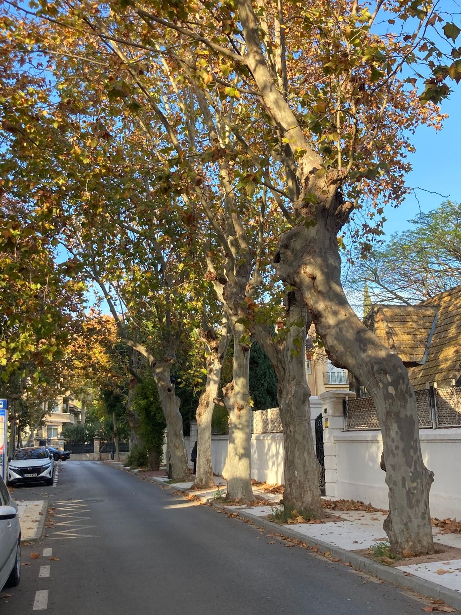 Piso en Calle Goethe, 3 -5, Limonar - Foto 18