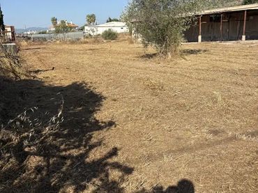 Finca rústica en  Calle Arzobispo Gasch 10 - Foto 15