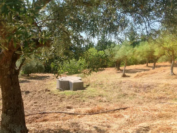 Finca rústica en Ex-203 s/n - Foto 18