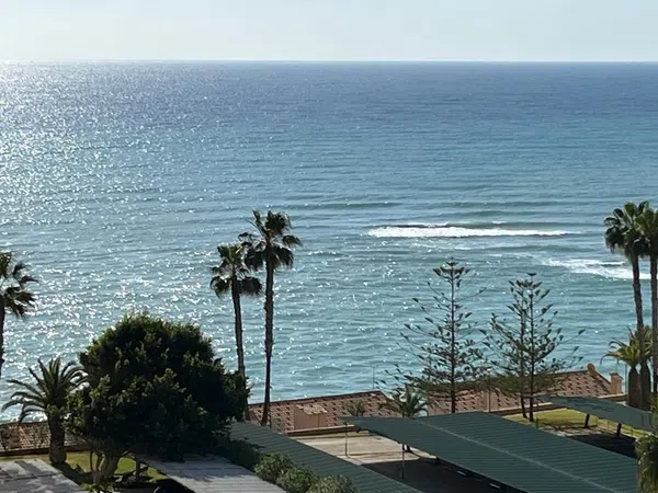 Estudio en Calle Gabriel y Galan-campoamor, 1, Campoamor - Foto 1