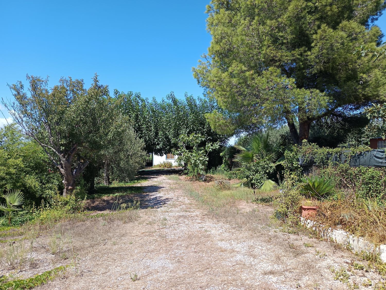 Cortijo en Cortijo en Partida Poligono 22, 220, Zona Llombai, Zona Llombai - Foto 17