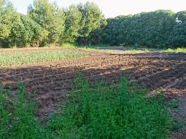 Finca rústica en  Ma-3433 4 - Foto 18