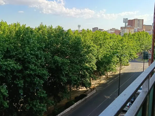 Piso en El Pilar - La Estación, El Pilar - La Estación - Foto 30