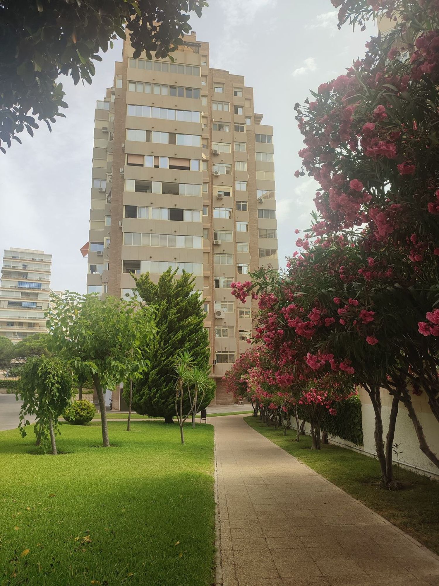 Piso en Avenida de Cataluña, 33, Cabo de las Huertas - Foto 7