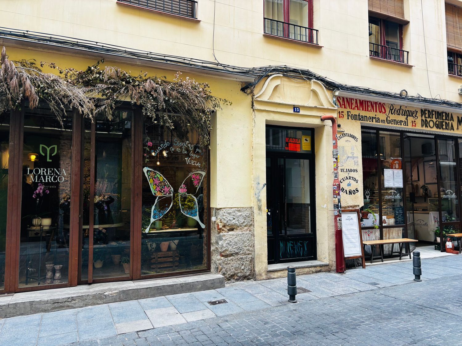 Estudio en calle de la Ruda, 15 - Foto 11