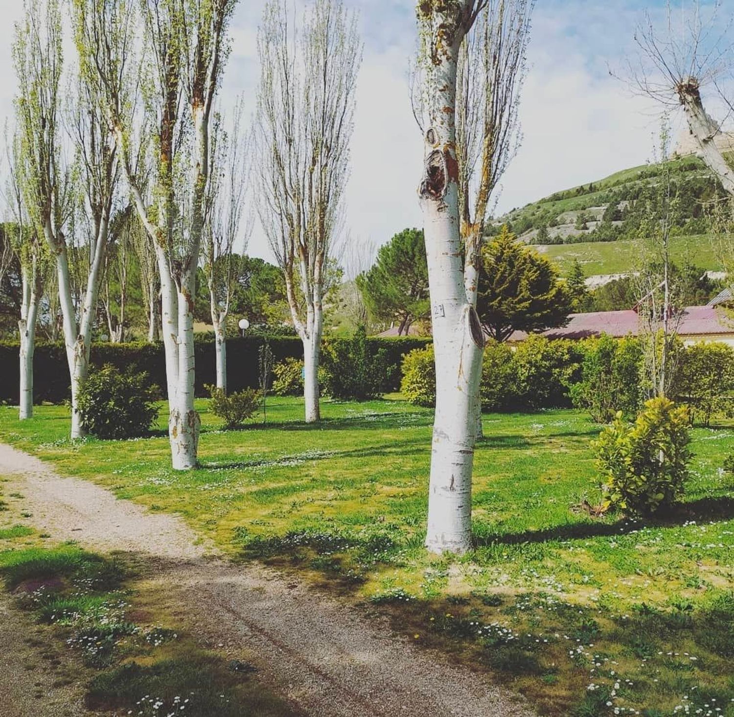 Casa rural en Avenida Virgen del Manzano, 1 - Foto 8