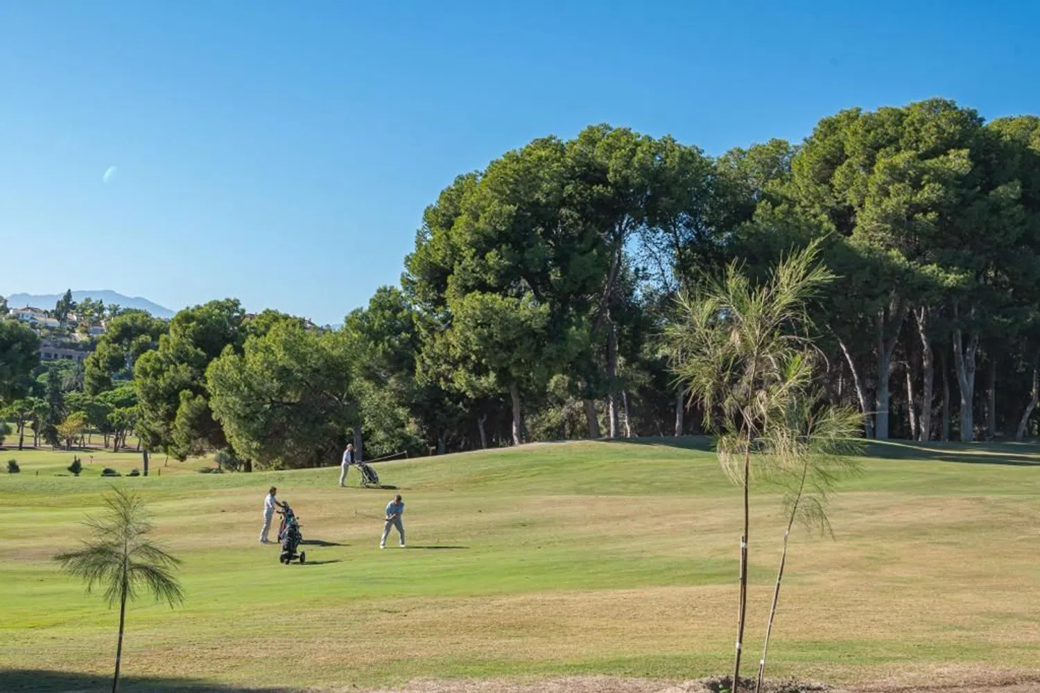 Piso en avenida de la Alcudia, 19 - Foto 27
