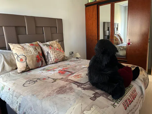 Piso en calle Andalucía, 37 - Foto 13