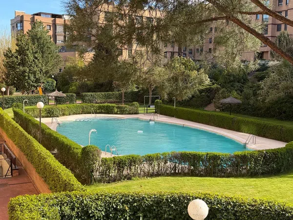 Estudio en calle de Machaquito, 33