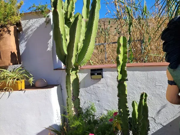 Cortijo en Cortijo en Haza Mora s/n - Foto 23