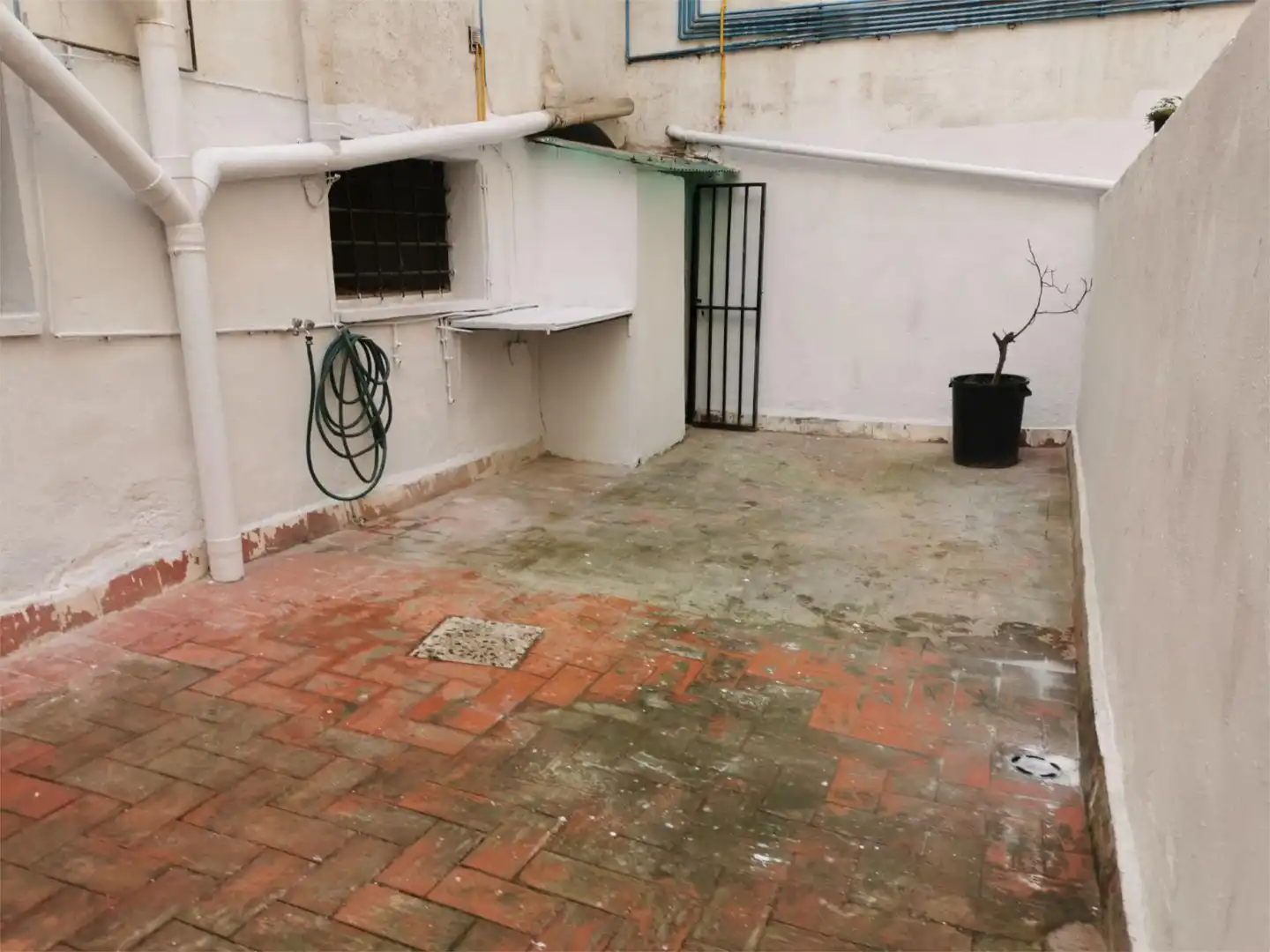 Local comercial en  Carrer de la Rosa d'Alexandria 49 - Foto 18