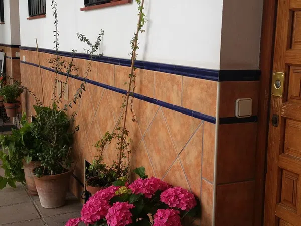 Casa o chalet independiente en Plaza de Aguayos, 1, Casco Histórico - Corredera - Ribera - Foto 6