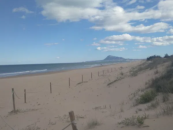 Piso en Camino Assagador del Palmar, 29, El Palmar-Los Molinos - Foto 15
