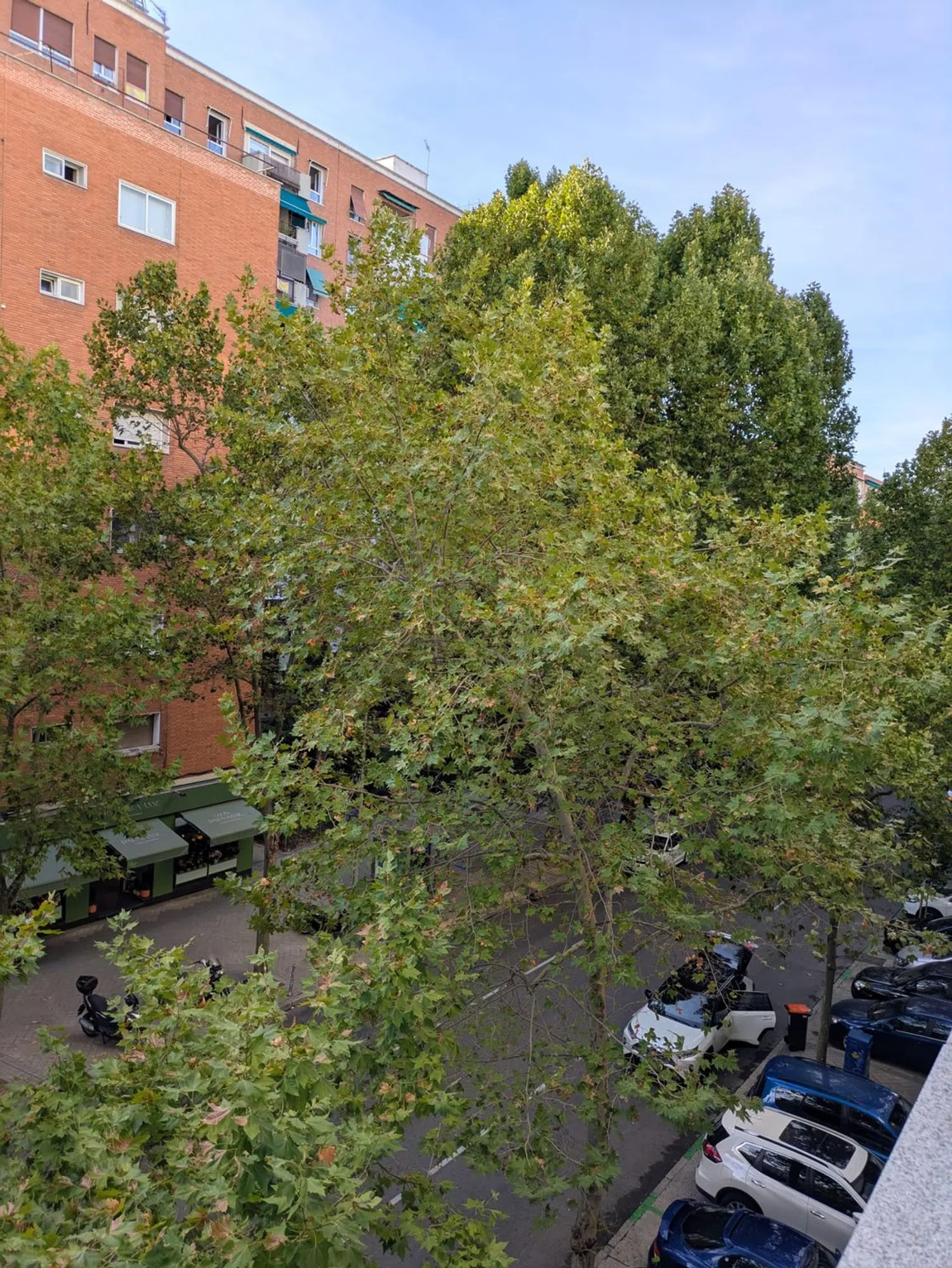 Piso en calle de Ramos Carrión, 13 - Foto 28