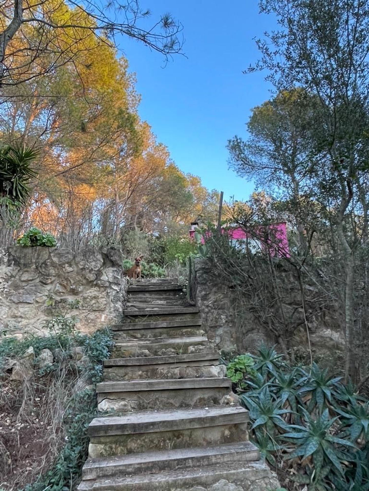 Casa terrera en calle roca s/n Sn - Foto 5