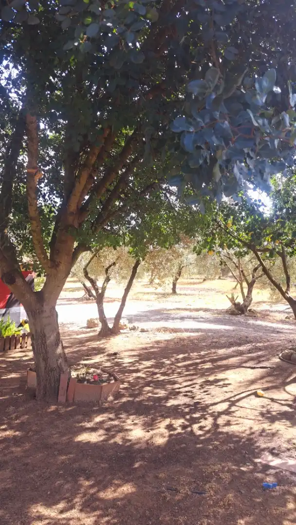 Finca rústica en  Calle Cruz de Montañina 61 - Foto 12