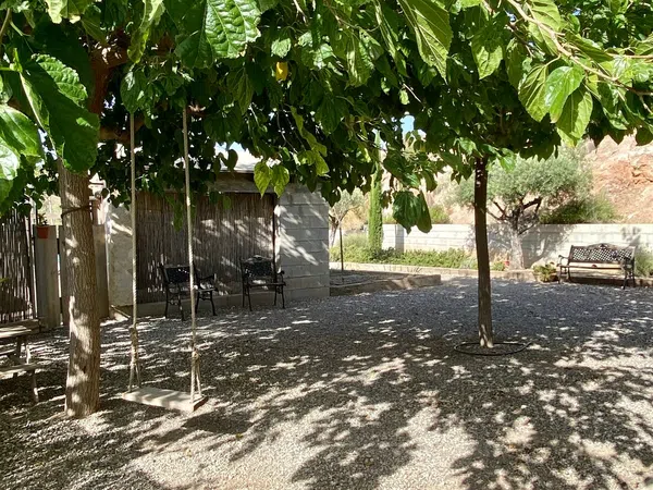 Finca rústica en Paraje Cucuch s/n - Foto 26