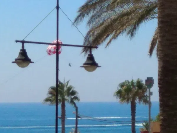 Piso en Avenida de las palmeras, 2, Parque de la Paloma, Parque de la Paloma - Foto 4
