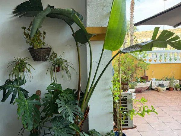 Piso en Avenida Almerimar, 208, Almerimar, Almerimar - Foto 23