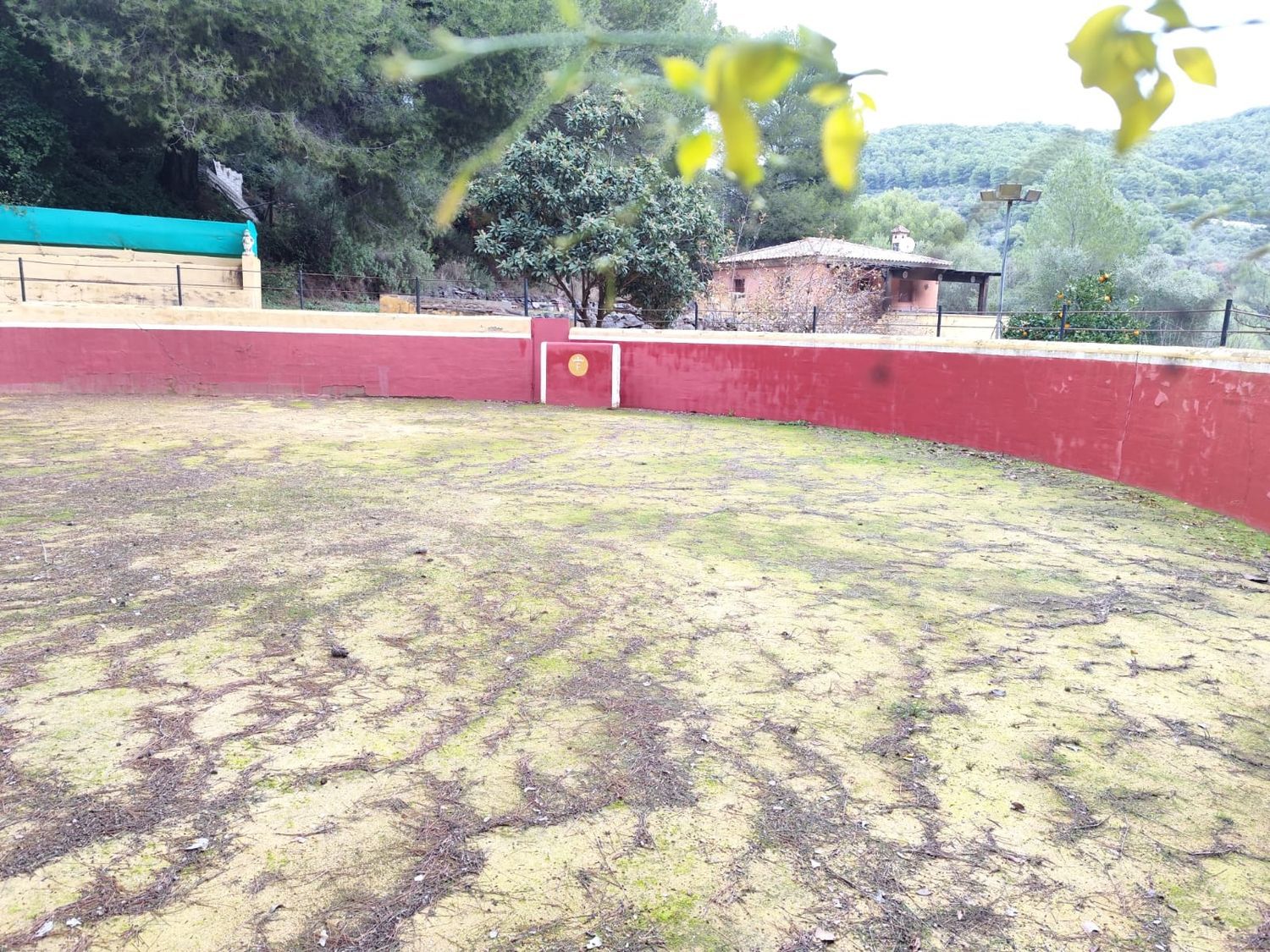 Casa o chalet independiente en venta en Llanos De Purla, 16 - Foto 10