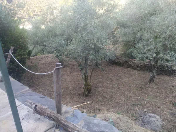 Casa de pueblo en arroyo s/n - Foto 9