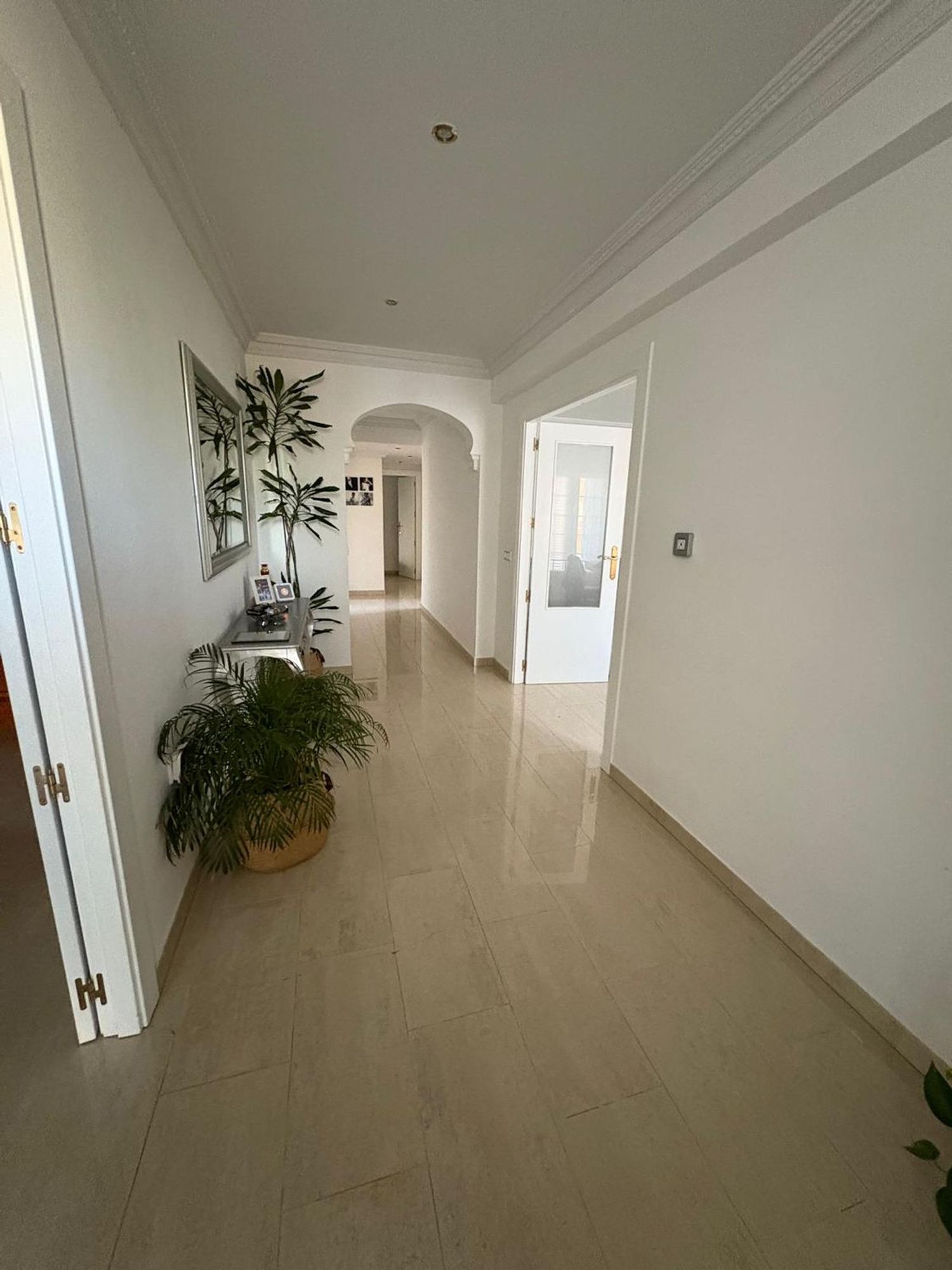 Casa o chalet independiente en Calle Numancia, 10 - Foto 4