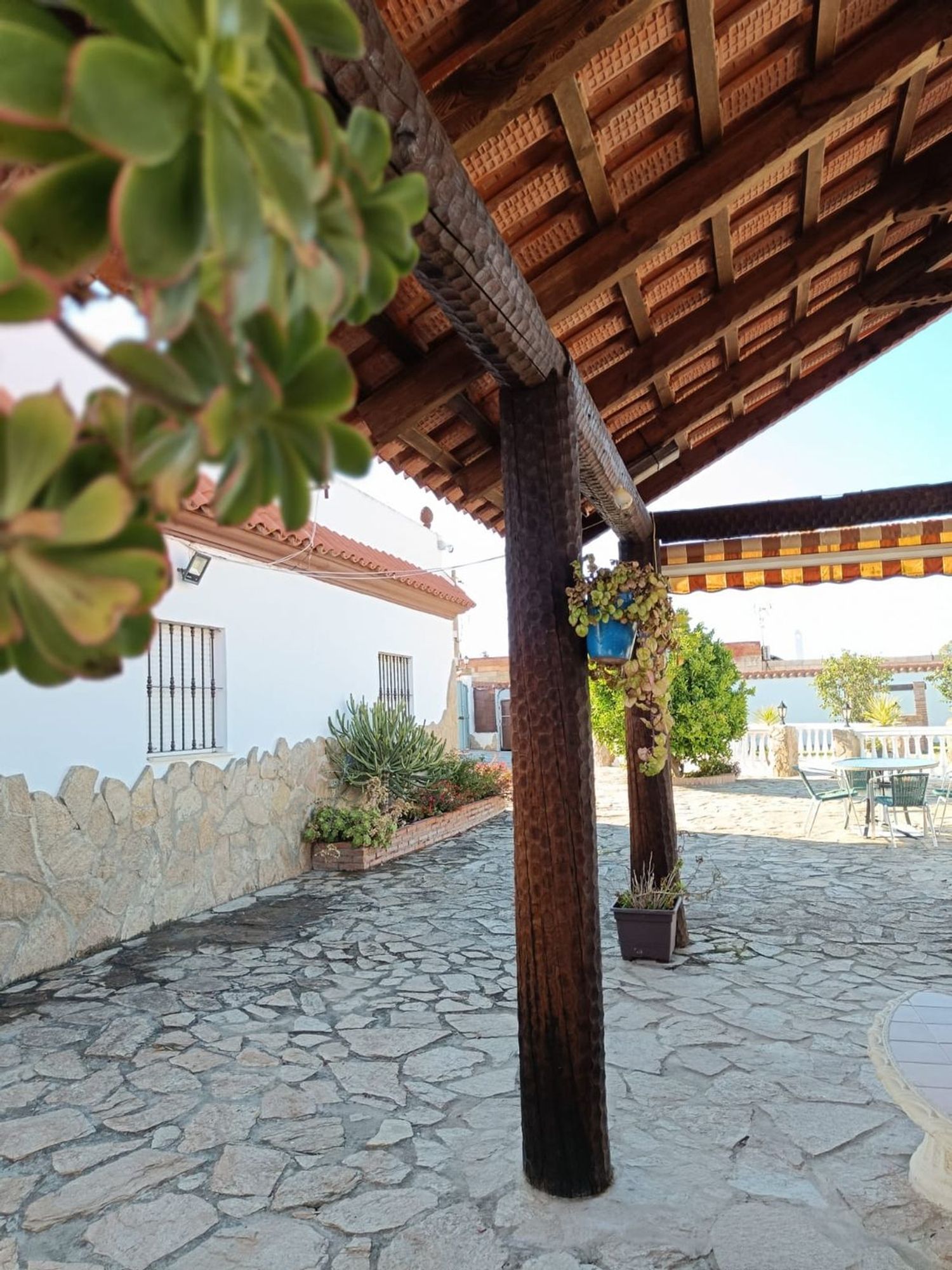 Casa rural en Ribera de la oliva s/n, Barbate, Barbate - Foto 19