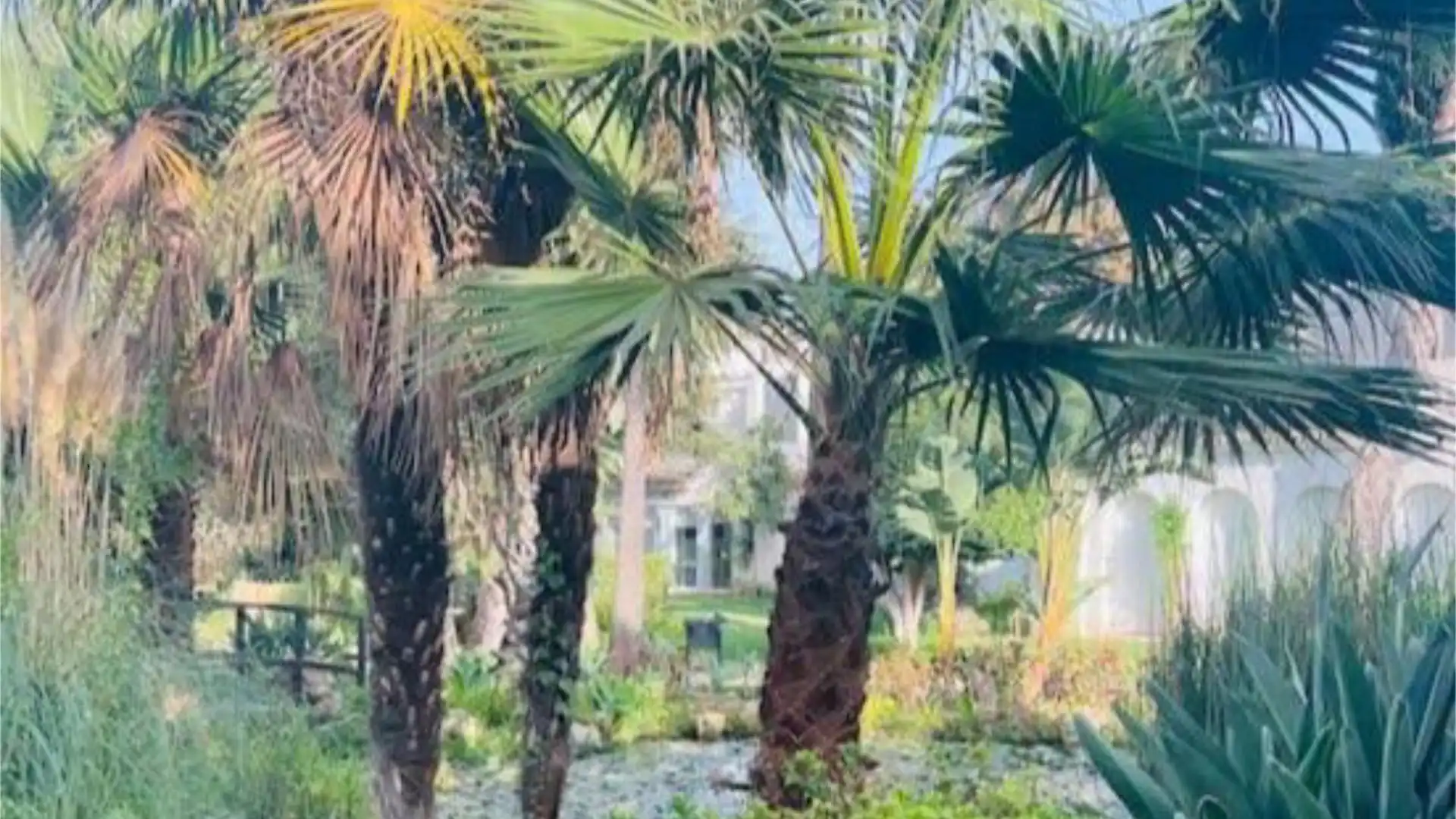 Piso en  Calle Bélgica 4 - Foto 27